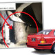 Illustration for article titled Cops Pull Over Tercel And Find Logs Used In Supsension